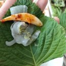 탐나종합어시장신림녹두거리점 이미지