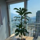 이여로403번길 이미지