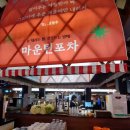 포차&카페 | 하이원 맛집 [마운틴 포차][구름담은 카페] 내돈내산 후기