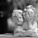 나의작은천사에게 이미지