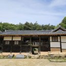 1395 Daum카페