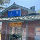 금자네펜션 | 가평 여행 (가평 레일파크, 오블리비아테 카라반 캠핑, 금자네 우거지갈비탕)