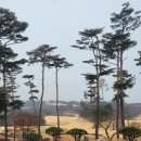 소풍앤리조트 이미지