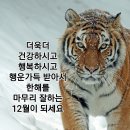 12월 첫날 인사 이미지 이미지