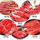 새암정한우 티스토리