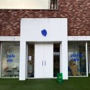 뽑기하니 | 부천 식물카페 에이프 aip cafe 예쁜 꽃포토존 식물뽑기 추천 떠먹는 카네즈센 티라미수 솔직후기