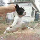 조각구름 이미지