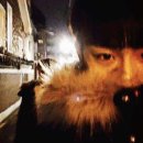 모이세 Daum카페