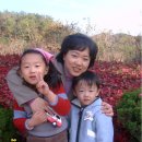 하연이네 이미지