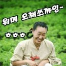 하이소 이미지
