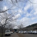 한라산둘레길 수악길 | 제주 비올때 가볼만한 오름 추천 이승악(이승이)오름 둘레길 삼나무숲길 가는법 주차장