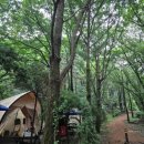 병목안캠핑장 이미지