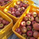 가정1-02-053 이미지