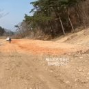 대신천 이미지