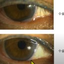 범안과의원 이미지