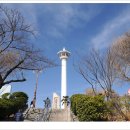 용두산공원 이미지