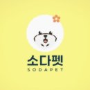 소다펫 이미지