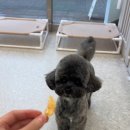 살롱드 멍 이미지