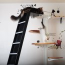 메인쿤 하우스 이미지