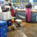 원조포항물횟집 이미지