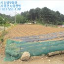 수동초등학교송천분교장 이미지