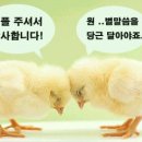 신발끈 예쁘게 묶는 방법 이미지