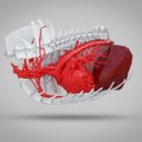 서교동물병원 이미지