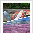 한라산산행일지 이미지