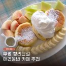 몽실 | 부평 청리단길 애견동반 카페 추천 수플레 맛집 몽실숲 후기