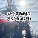 홍원항 포장마차 | 태안쭈꾸미낚시 내포항 후기 초보자준비물