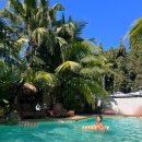 수영사우나 | [치앙마이 수영장] 님만해민 근처 인생샷 건지는 수영장 코코클럽 후기 (수영/사우나/ 아이스배스)