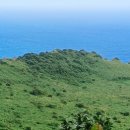 서귀포충전소 이미지