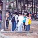 흥인초등학교 이미지