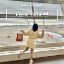 149 | 코타키나발루 여행 항공편 티웨이 TW149 후기 꿀팁 가격 체크인 비행 시간 셀프백드랍 좌석 기내식 보조...