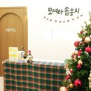 대구애견미용 모여라솜뭉치 | [대구 애견 미용실 추천] 대구애견미용 강아지호텔 모여라솜뭉치 에서 시켜보세용 ㅎㅎ