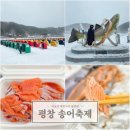 송어축제 | 강원도 평창 송어축제 2026 후기 낚시대 가격 입장료 꿀팁