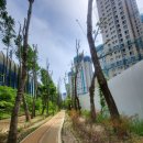 제일연합공인중개사사무소 이미지