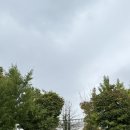 태신농장 이미지