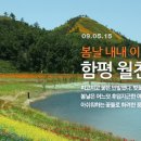 월천 이미지