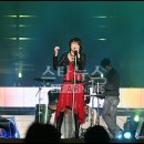 러브홀릭 이미지