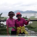 순천만의 추억 이미지