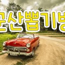 뽑기의 민족 이미지