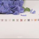 로이드 - 속초시 중앙로 114 | 로이드