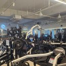 시너지 피트니스 | 신천동헬스장 시너지피트니스 신천점 방문후기! 오랜만에 제대로 몸을 깨워봤어요:)