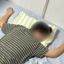 3단 접이식 메트리스 토퍼 추천, 엠마 프리미엄 푸톤 원룸 사용후기