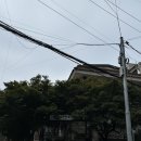 민들레영토경희대점 이미지