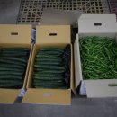 경창상회 이미지