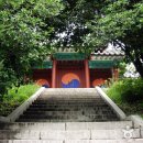 순천-48호 이미지