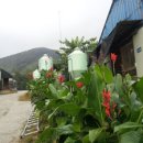 세례농장 이미지