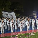 용인대 금메달 태권도 이미지